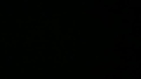 avg3131 online show from 01/16/25, 06:35