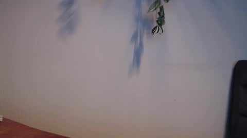 PiPa online show from 05/19/26, 07:20