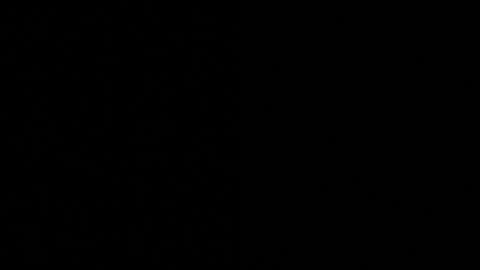 Snapshot of axell_cross2 chatting on 11/04/25, 09:52 Axell Cross2 online show from 11/04/25, 09:52