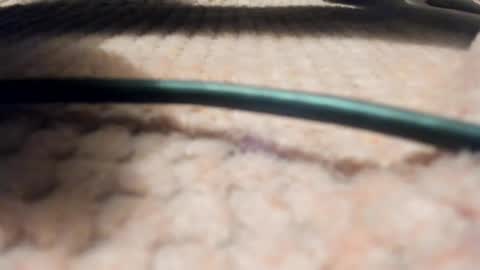 Axell online show from 03/28/26, 09:09