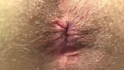 Din online show from 01/21/25, 08:11