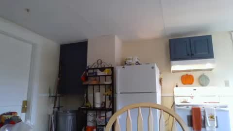 Snapshot of babiifern chatting on 10/14/25, 02:29 Fern Browning online show from 10/14/25, 02:29