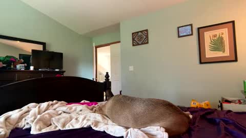 blue online show from 04/04/26, 09:45