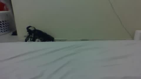 needoh online show from 03/27/26, 12:38