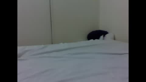 needoh online show from 04/26/26, 04:37