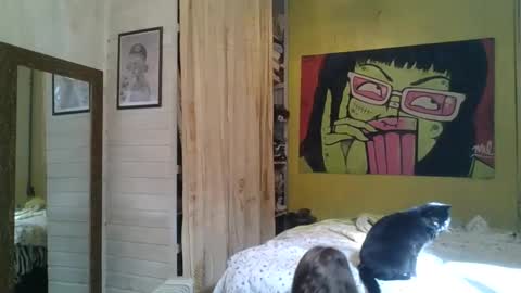 babydemon6 online show from 05/24/26, 01:38