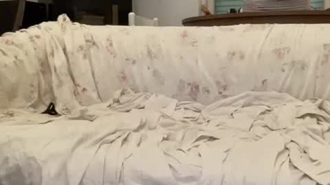 bach online show from 02/12/25, 04:44