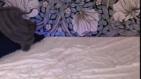 Snapshot of backtatava chatting on 09/30/25, 01:21 Ava online show from 09/30/25, 01:21