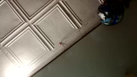 Snapshot of badnews68 chatting on 01/18/25, 10:06 StillPoPimpin online show from 01/18/25, 10:06