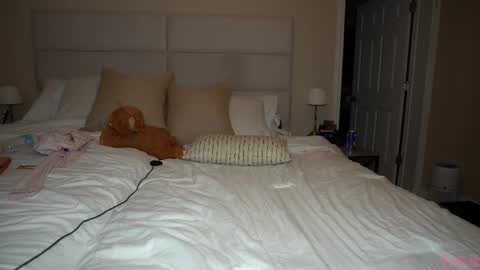 Bae online show from 04/06/26, 04:46