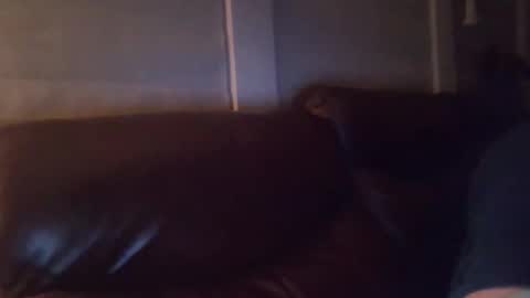 bake66999 online show from 02/05/26, 06:18