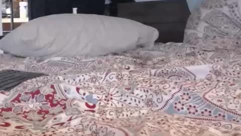 Snapshot of baker305 chatting on 09/29/25, 04:17 baker305 online show from 09/29/25, 04:17