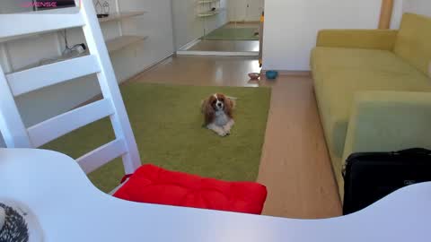 Kira online show from 03/20/26, 12:21