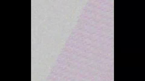 Totty  Nutty online show from 01/17/25, 11:38