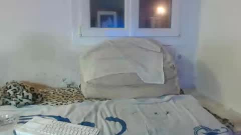 bambino6060 online show from 12/02/24, 04:42