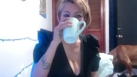 barbiemature online show from 05/28/26, 09:06