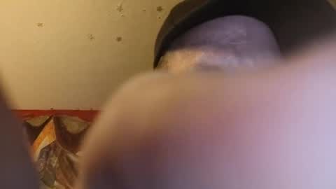 barniemay1 online show from 06/28/26, 12:33