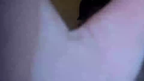 barniemay1 online show from 07/05/26, 04:41