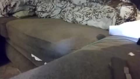 Snapshot of barrett4200 chatting on 01/20/25, 12:15 barrett4200 online show from 01/20/25, 12:15