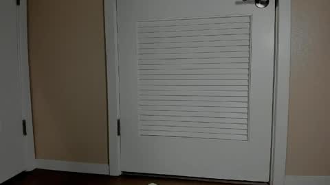 Emi online show from 04/16/26, 09:39