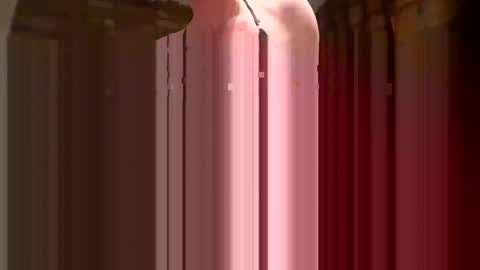 barryditches online show from 12/01/25, 06:46