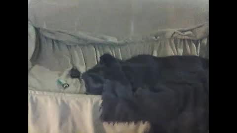 barrysand online show from 09/23/25, 02:14