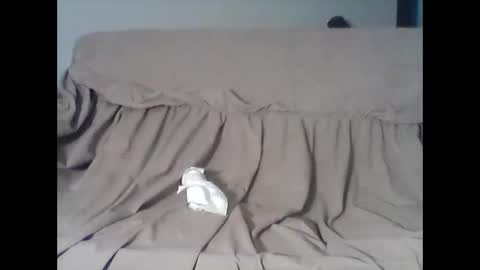 barrysand online show from 11/11/25, 04:12