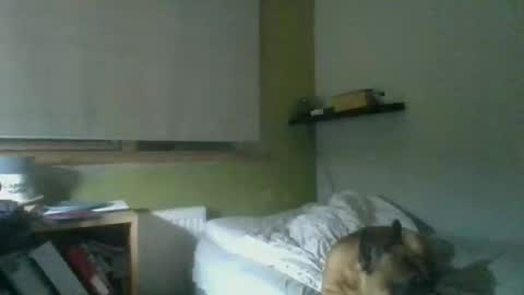 Snapshot of bart_poland chatting on 10/23/25, 09:02 bart_poland online show from 10/23/25, 09:02