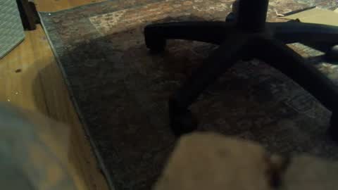 bartender3127 online show from 01/16/25, 04:18