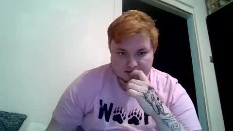 BartTheBear online show from 02/09/26, 07:51