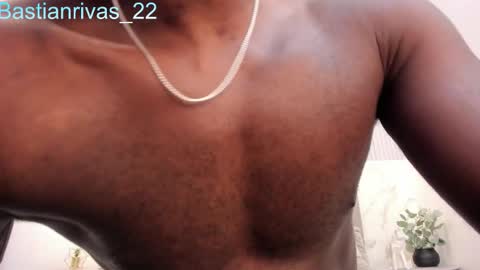 Snapshot of bastianrivas chatting on 10/16/25, 11:55 Bastian. online show from 10/16/25, 11:55