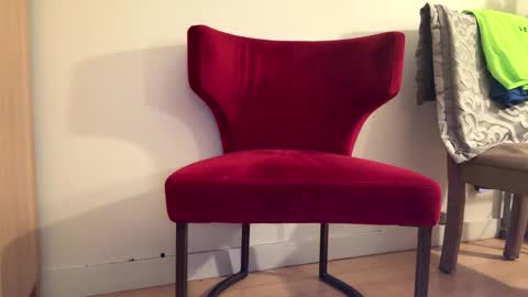 Batestallion9x6 online show from 01/19/26, 11:14