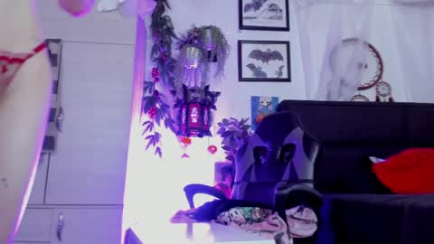    online show from 03/28/26, 09:47