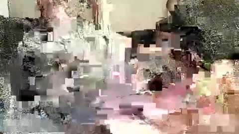 Batman online show from 01/02/25, 12:02