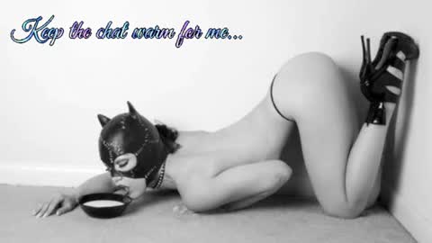 Your always sexy Harley online show from 07/08/26, 08:19