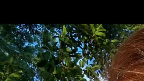 Battyredhair online show from 04/06/26, 06:25