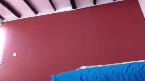 bayonette_black online show from 01/16/25, 11:48