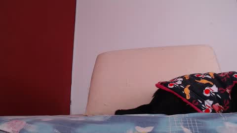 bayonette_black online show from 09/26/25, 12:09