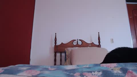 bayonette_black online show from 09/27/25, 12:10