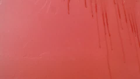 bayonette_black online show from 11/08/25, 09:13