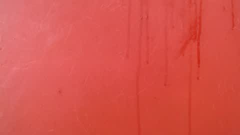 bayonette_black online show from 11/24/25, 07:13