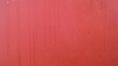 bayonette_black online show from 11/26/25, 07:15