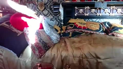 Bazza online show from 11/01/25, 07:32