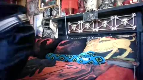 Bazza online show from 02/18/26, 05:03