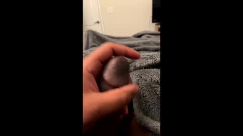 Snapshot of bbc4_fun chatting on 02/23/25, 06:07 bbc4_fun online show from 02/23/25, 06:07