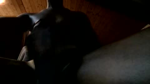 Ferdinandooo online show from 06/02/26, 09:39
