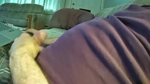 bcema2 online show from 10/24/25, 03:30