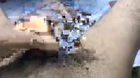 bd_sam_69 online show from 11/02/25, 09:50