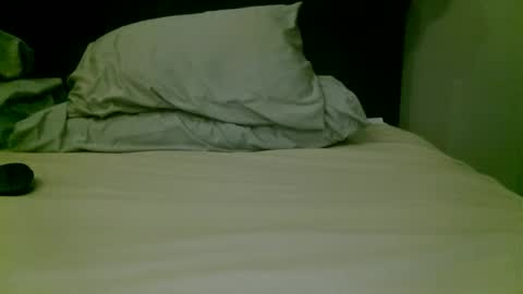 beagle1 online show from 04/17/26, 05:10