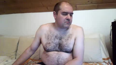 bear037 online show from 12/26/24, 12:46